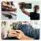 Supcase Supcase iPhone 16e Skal MagSafe Iblsn ArmorBox Guldan - Teknikhallen.se