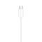 Tech-Protect Tech-Protect In-Ear Hörlurar USB-C UltraBoost Svart - Teknikhallen.se