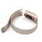  Milanese Loop Metall Armband Fitbit Charge 4/3 Champagne Guld - Teknikhallen.se