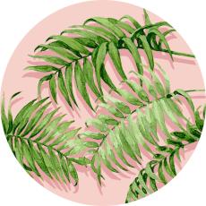 PopSockets PopSockets Grip med St&auml;llfunktion Palm Shadows - Teknikhallen.se