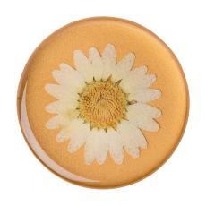 PopSockets PopSockets Avtagbart Grip med St&auml;llfunktion Premium Pressed Flower White Daisy - Teknikhallen.se