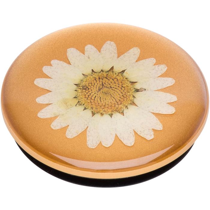 Bild 4, PopSockets PopSockets Avtagbart Grip med Ställfunktion Premium Pressed Flower White Daisy - Teknikhallen.se