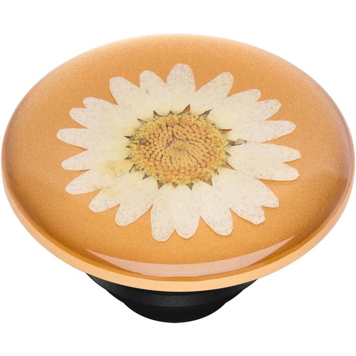 Bild 5, PopSockets PopSockets Avtagbart Grip med Ställfunktion Premium Pressed Flower White Daisy - Teknikhallen.se