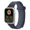 DUX DUCIS DUX DUCIS Apple Watch 42/44/45/49 mm Armband Magnetisk Silikon - Teknikhallen.se