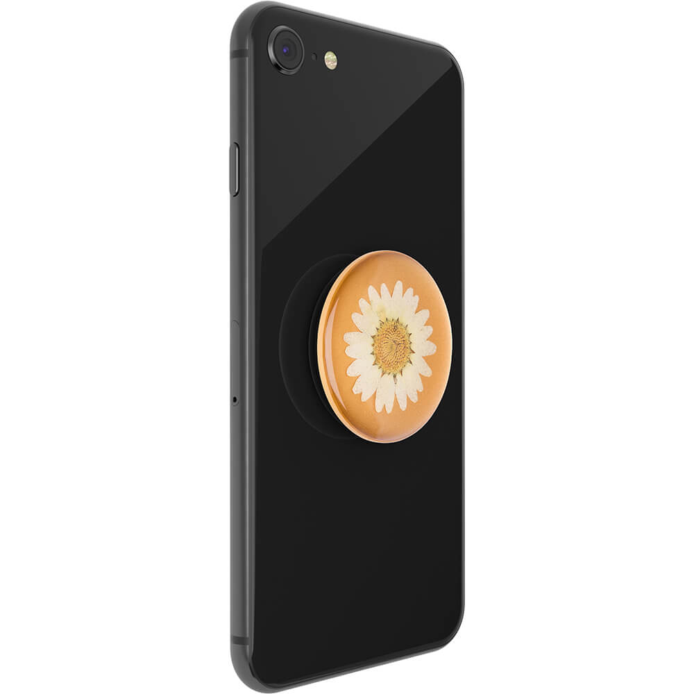 PopSockets PopSockets Avtagbart Grip med Ställfunktion Premium Pressed Flower White Daisy - Teknikhallen.se